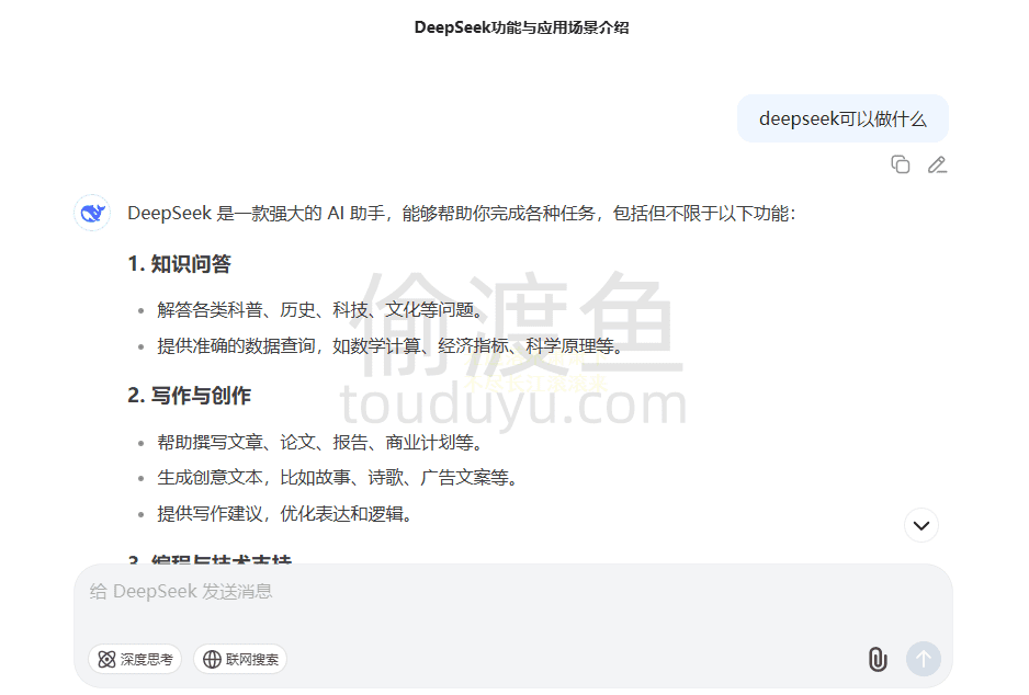 DeepSeek-一个优秀的国产大语言模型AI智能助手-偷渡鱼