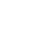 观察者_偷渡鱼