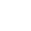 飞卢小说网_偷渡鱼