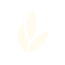 稻壳儿_偷渡鱼